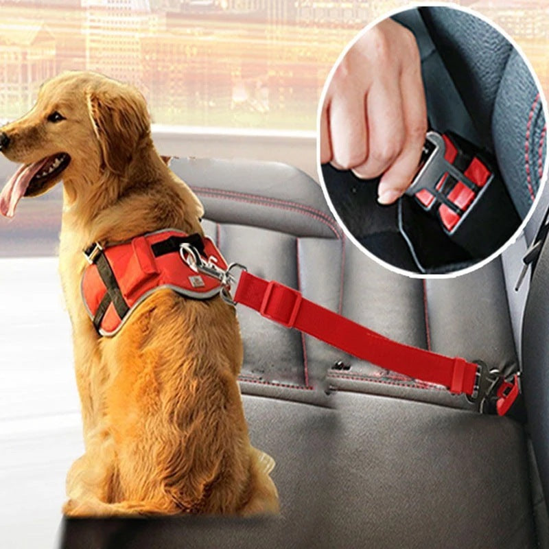 Adjustable Pet Car Seat Belt – Safe Comfortable Travel