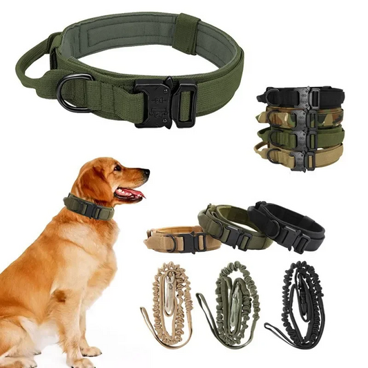 Durable Nylon Dog Collar