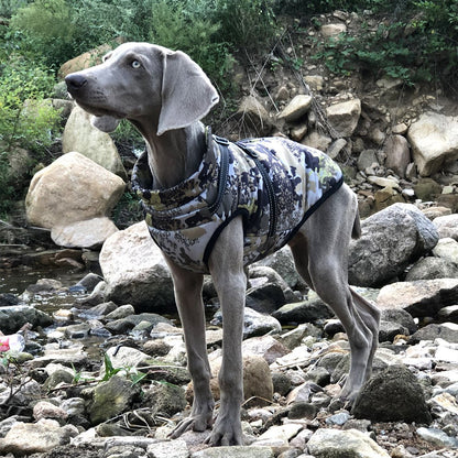 Winter Warm Camouflage Big Dog Shell Jacket