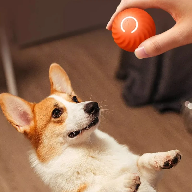 SmartDog Ball: Automatic Spinning Ball for Dogs