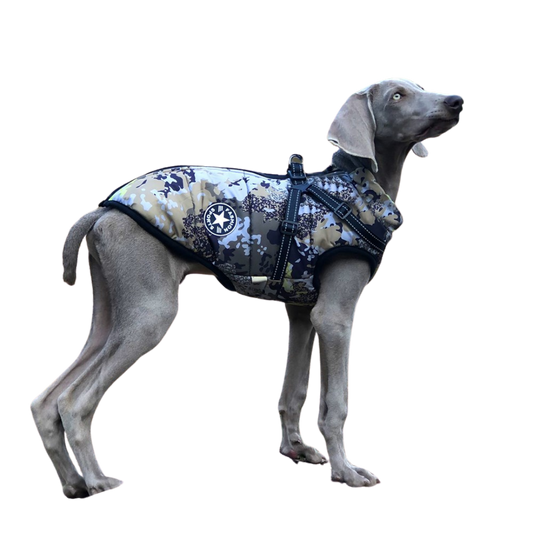 Winter Warm Camouflage Big Dog Shell Jacket