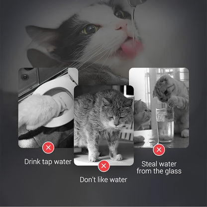 Pet Water Dispenser Automatic Circulation Constant Temperature