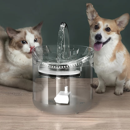 Pet Water Dispenser Automatic Circulation Constant Temperature